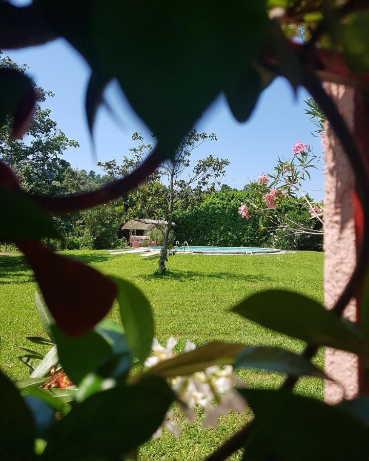 Casa Pilar Villa Capannori Eksteriør bilde