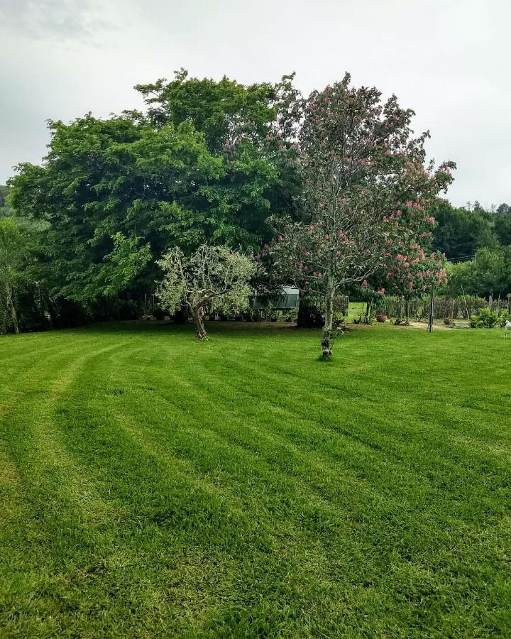Casa Pilar Villa Capannori Eksteriør bilde