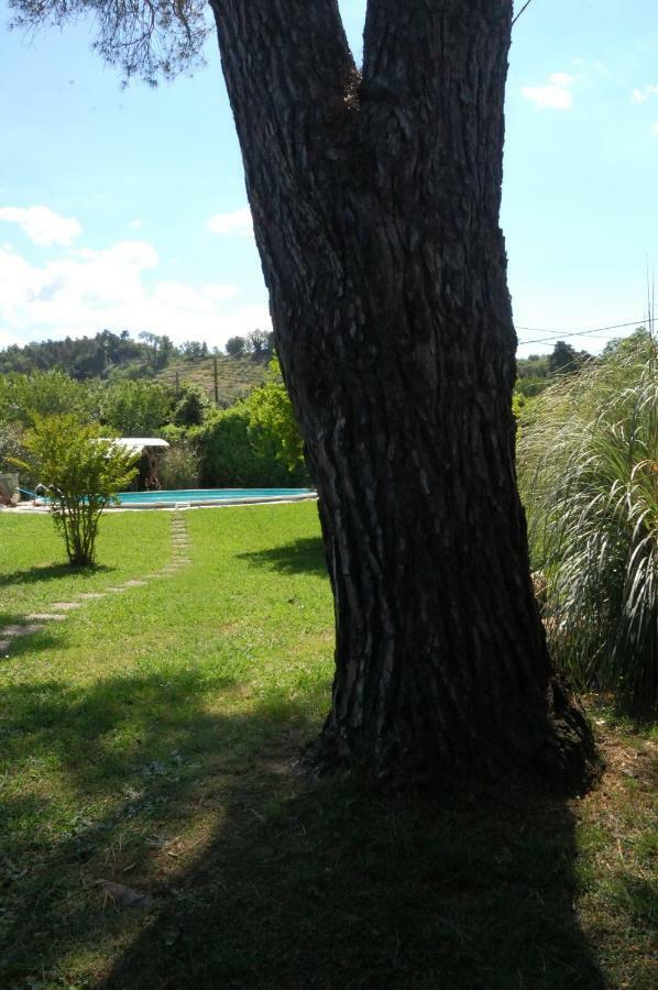 Casa Pilar Villa Capannori Eksteriør bilde